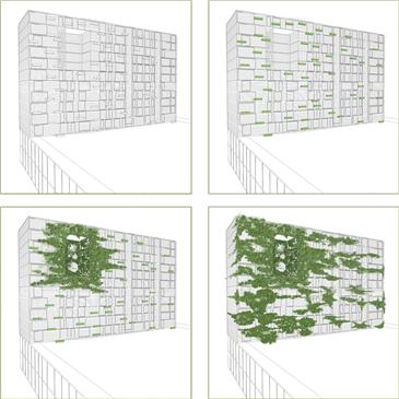 concept di progetto: espansione verde